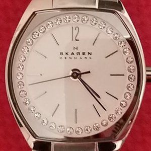 Ladies Skagen Denmark SS Watch